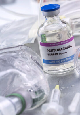Order Pentobarbital Sodium (Liquid)