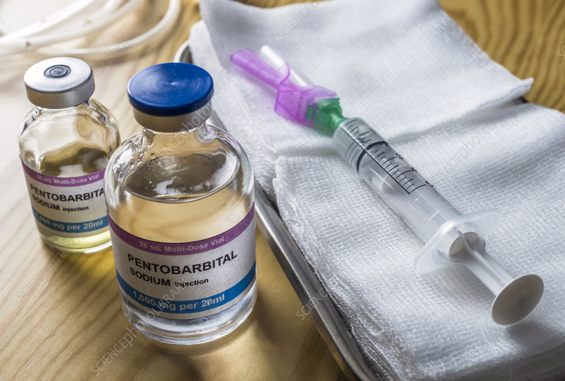 Vials of Pentobarbital sedative drug, conceptual image